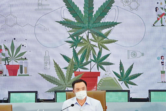 泰國公衞部長阿努廷周二宣布大麻從毒品管制名單中移除。