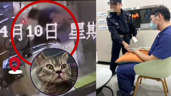 四川一寵物醫院實習生躲監控死角虐貓，玻璃反光揭惡行。