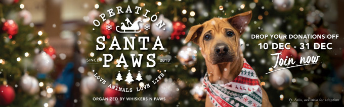 Whiskers N Paws（WNP）的「毛孩聖誕送暖行動」由本月十日至月底，於全港設立逾四十個收集點，讓大眾捐贈寵物用品。