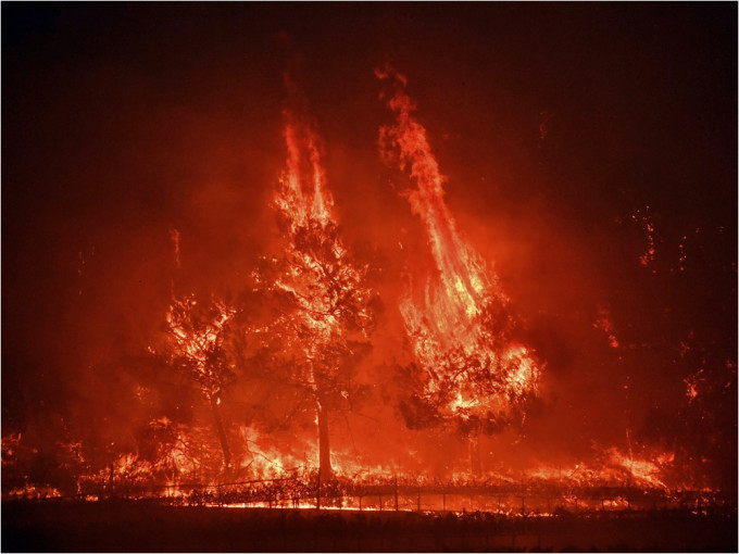 纳帕山谷核心地区爆发山火，数个社区与一家医院需疏散。AP图片