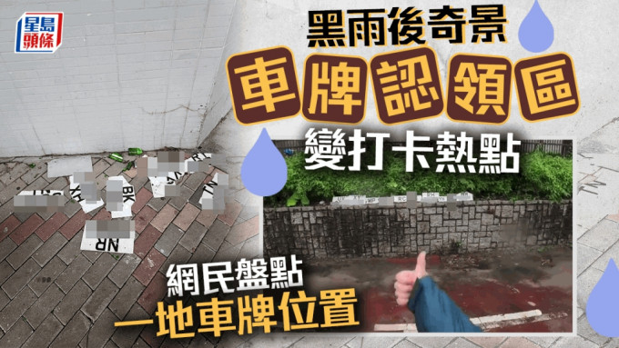 世纪暴雨｜水退后奇景乍现 车牌认领区变打卡热点  网民盘点一地烂牌位置