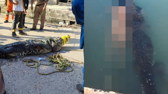 墨西哥鱷魚拖裸屍片曝光 25歲男疑遭咬斷前臂腳掌死狀恐怖