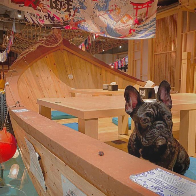餐厅就拒绝导盲犬进入致歉。钓鱼船屋图片