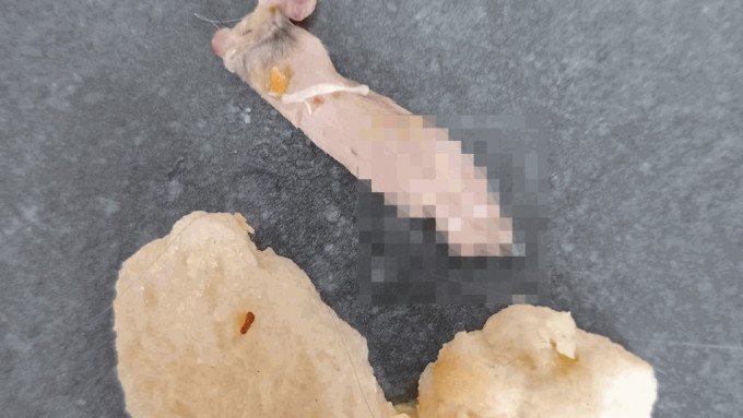紐西蘭母親買大蒜麵包給兒子吃卻吃出「生老鼠腳」，憤怒投訴。