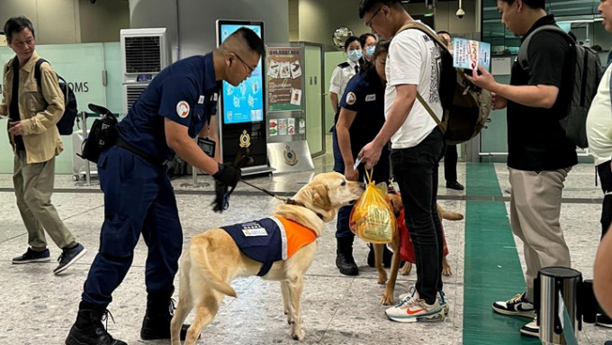 检疫侦测犬在边境管制站协助执法人员打击非法行为。