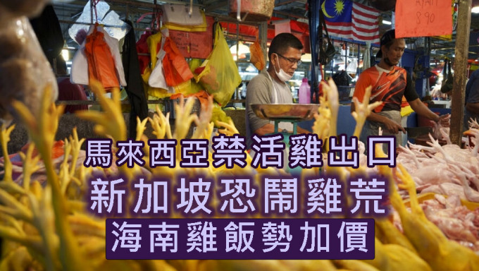 马来西亚防鸡荒禁活鸡出口，新加坡首当其冲。AP