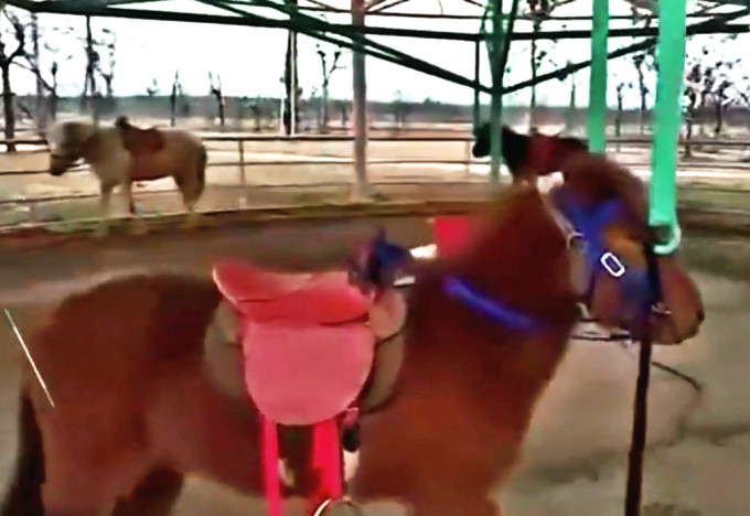 江蘇動物園推出旋轉活馬。網上圖片