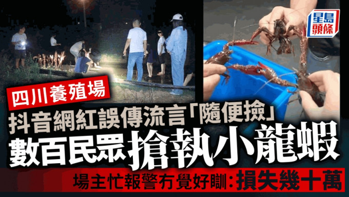 四川养殖场每晚涌入大批民众抢龙虾，只因网误传「随便执」。