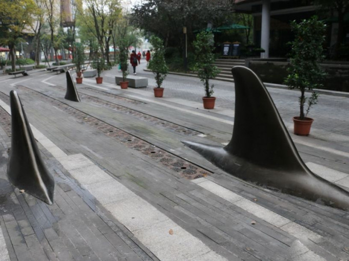有人称鲨鱼鳍隔离栏杆有装饰作用，可美化城市路面。（网图）