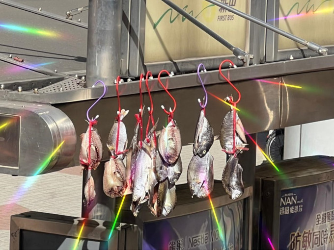有居民於將軍澳尚德廣場外的巴士站上蓋曬晾鹹魚。FB圖片