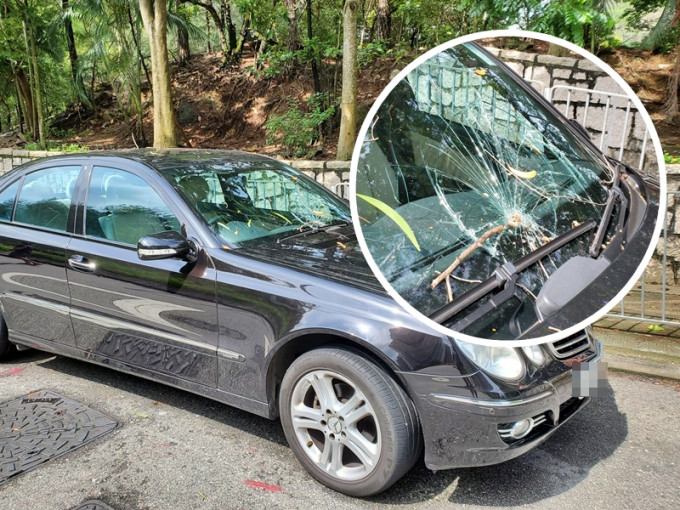 沙田今早發生塌樹意外，一輛私家車的擋風玻璃被壓毀。
