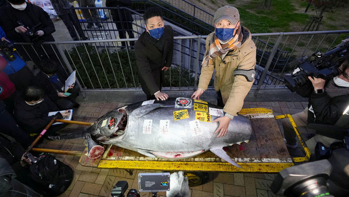 东京丰洲市场新年首拍，蓝鳍吞拿鱼以3604万日圆结标。路透社