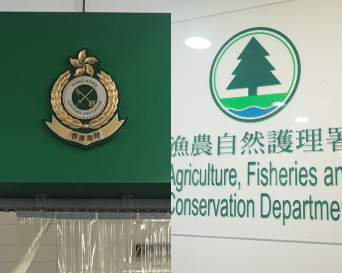 香港海关与渔农自然护理署，加强打击走私濒危物种的活动。　
