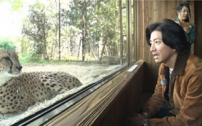 木村拓哉到动物园拍节目，见到猎豹时更称想抱抱它。