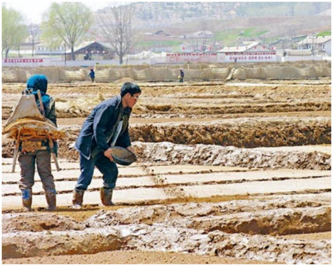 報告指北韓正經歷10年來最差的農作物失收。
