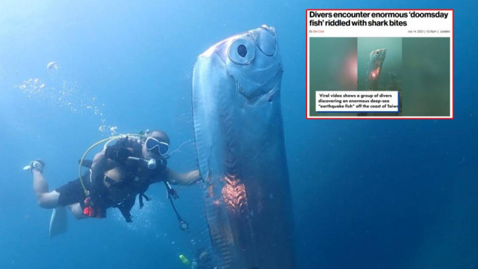台湾潜水员汪承儒，在东北角浅海发现「地震鱼」 。  汪承儒Facebook截图
