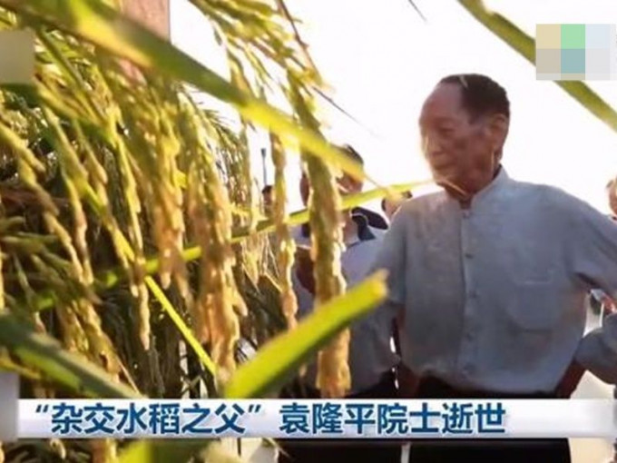 央視《新聞聯播》播出袁隆平平生前在田間地頭調查的畫面。