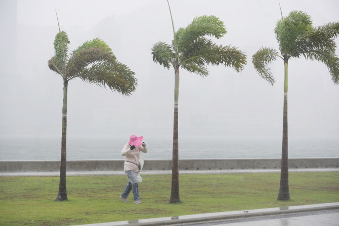 未來一兩日珠江口一帶間中有強風，並有驟雨及狂風雷暴，雨勢有時頗大。資料圖片