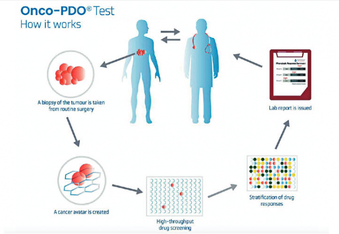 Onco-PDO药敏检测在体外培植「迷你肿瘤」代替患者亲身试药，检测报告详列患者的药效数据，让主诊医生作用药参考。