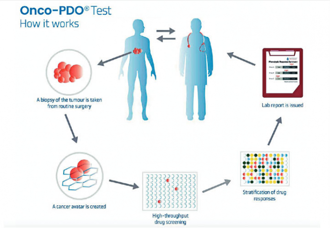 Onco-PDO藥敏檢測在體外培植「迷你腫瘤」代替患者親身試藥，檢測報告詳列患者的藥效數據，讓主診醫生作用藥參考。