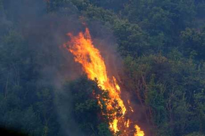 撒丁島山火嚴重。AP圖片