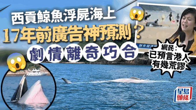 在西贡海域出没的布氏鲸，今日（31日）早上约10时被发现浮尸海面，引发热议，有网民竟发现17年前本港一段广告已神预测今次西贡鲸鱼事件，剧情竟离奇巧合，「首广告歌已经预言香港人有几荒谬。」