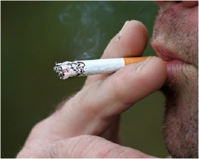 調查指吸煙及二手煙也是肺癌的主要致病因。網圖