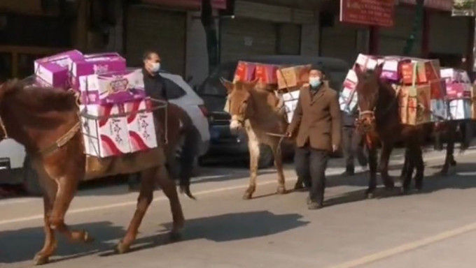 陝西現馬匹運送抗疫物資引質疑，官方闢謠指是馬幫自發籌集捐贈。