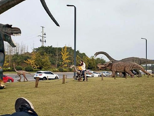 有人騎在恐龍像背部。