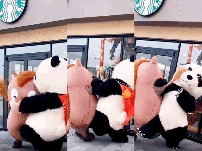 江蘇街頭「熊貓」與「野豬」在街頭互毆。影片截圖