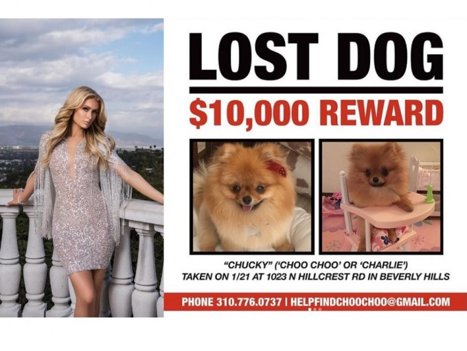 Paris懸紅一萬美元尋狗。