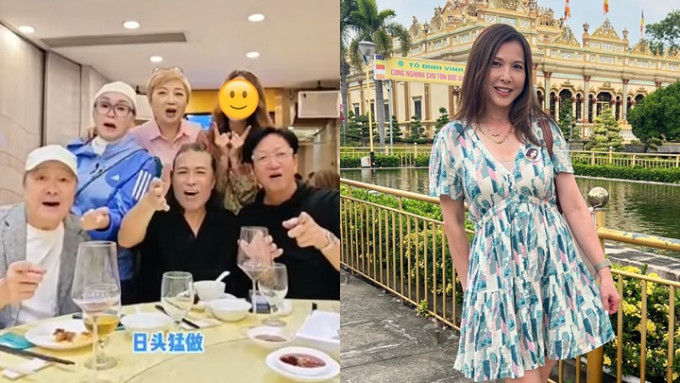 刘恺威旧爱撞样李婉华？疑滤镜重手被认错  淡出娱圈18年已成3子之母