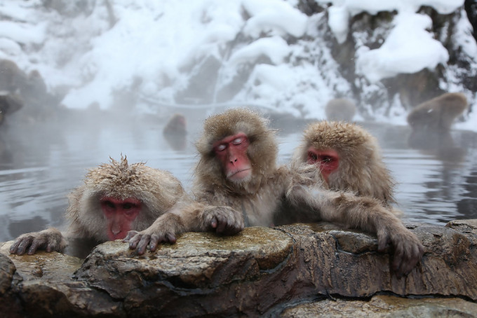 寒冬浸溫泉或致「熱休克」，日本每年逾萬人喪命。網上圖片