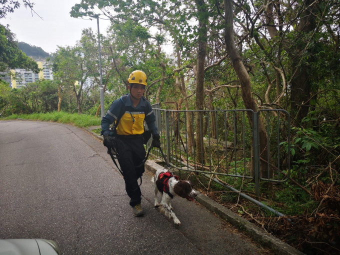 消防高空拯救专队带同搜索犬到飞鹅山一带搜索。 梁国峰摄