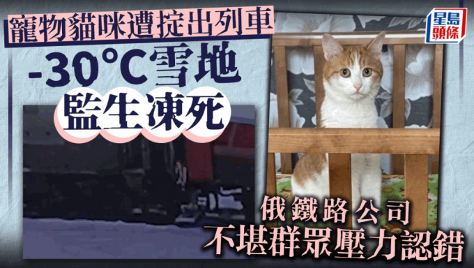 寵物貓特克斯被列車員扔出車外凍死，引發網絡極大迴響。