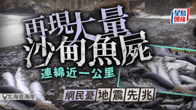 北海道大量沙甸魚沖上岸 綿延900米網民憂地震先兆