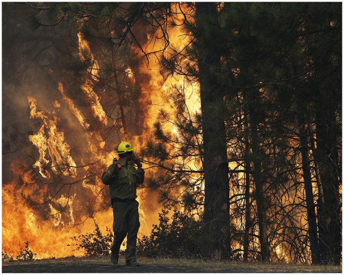 加州州内有10多个火场。AP图片