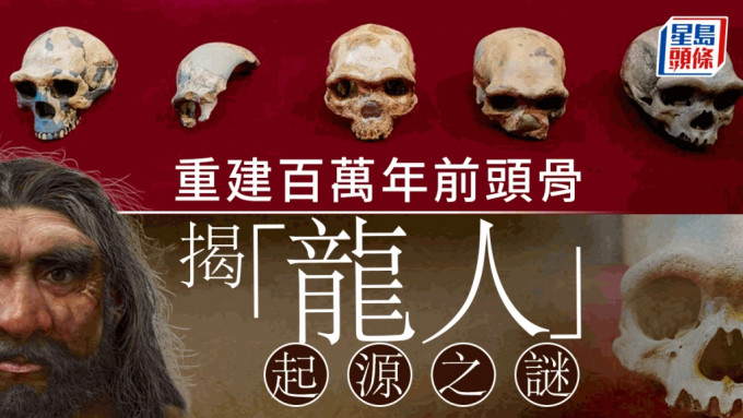 考古大发现︱100万年神秘头骨获重建  或解「龙人」起源之谜