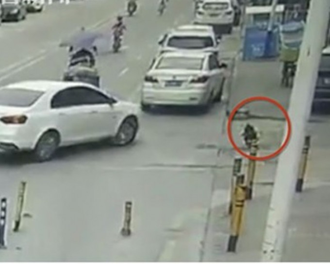 女童過馬路突蹲下，司機無為意將其輾斃。網上圖片