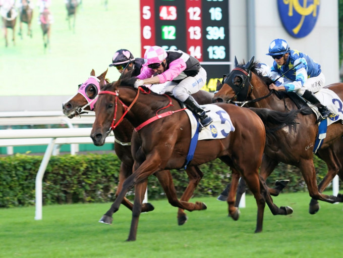 今日「美麗多多」以首名過終點，而「美麗笑容」則跑第二，構成「美麗」連贏。 Curry攝