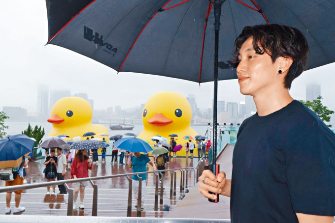 石伟雄受访当日到金钟海旁探望巨型黄鸭，感叹十年人事几番新。