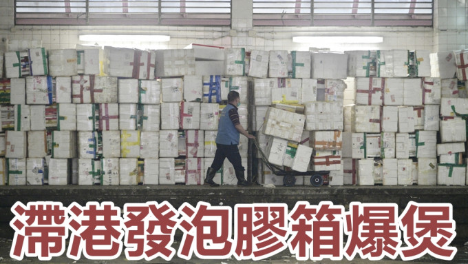 二月起内地禁回收供港发泡胶箱，本港各区出现发泡胶箱围墙景象。
