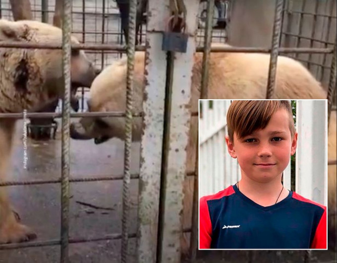 男童挑釁動物園棕熊被撕成碎屍。(網圖)