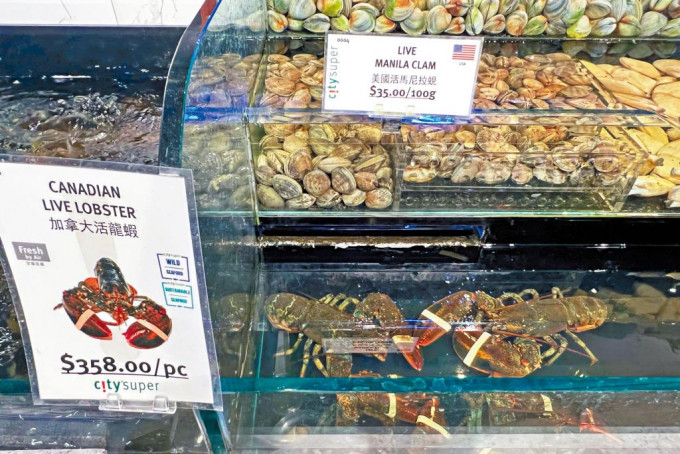澳洲及加拿大龍蝦等在過年時間的搶手食材，價錢料進一步提升。