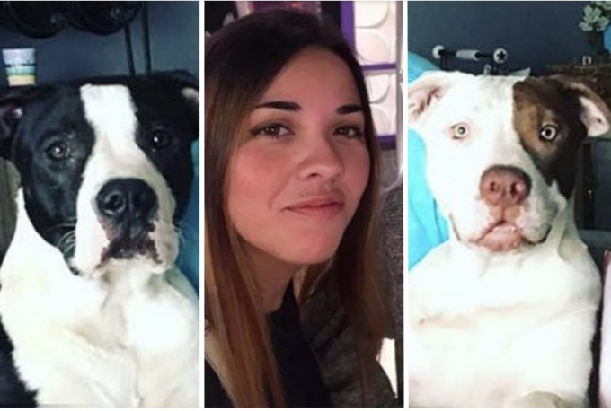 美國德州一名33歲女子到獸醫院探望其兩隻比特犬時，竟遭愛犬們咬死。　Facebook圖片