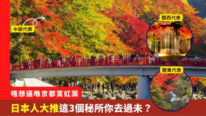 香嵐溪、好古園及高尾山，均是京都以外的賞紅葉好去處。