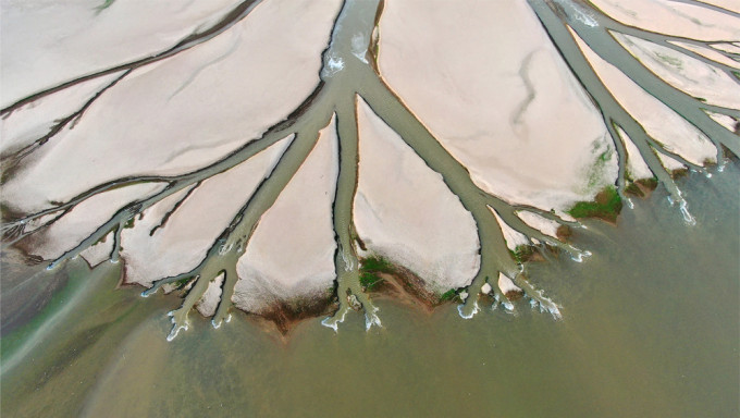 水位持续下降，鄱阳湖现「大地之树」自然景观现象。新华社图片