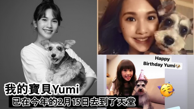 楊丞琳黑白照悼念愛犬，趕回台灣陪走最後一程。