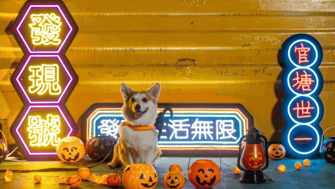 觀塘海濱「VESSEL 發現號01」將於10月27至28日（周五及六）一連兩晚舉辦「萬聖節寵物之夜」，市民可以帶同主子齊齊扮鬼扮馬參加派對。