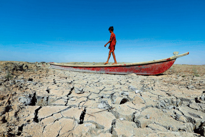 伊拉克济加尔省的沼泽地区，六月因水源减少而乾涸。　